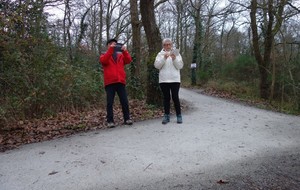 5c443c4e19f3f_StNicolas20195.jpg
