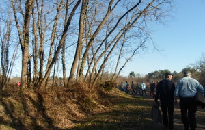 5c751f7629075_SAM0018.JPG