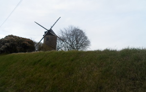 5c92465c5dd8d_SAM0043.JPG