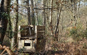 5c9ca5ea6a8cd_FontaineGuerin6.jpg