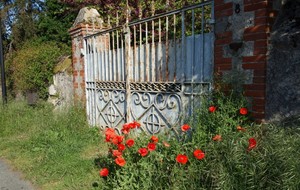 5cd341c95487d_Rochefort0520197.jpg