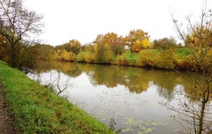 5dde893248502_LespontsdeCe11.jpg