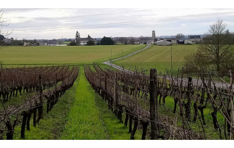 Rando à Chemellier
