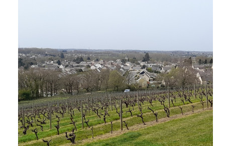 Rando à Thouarcé