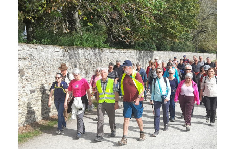 Randos à St Gemmes sur Loire